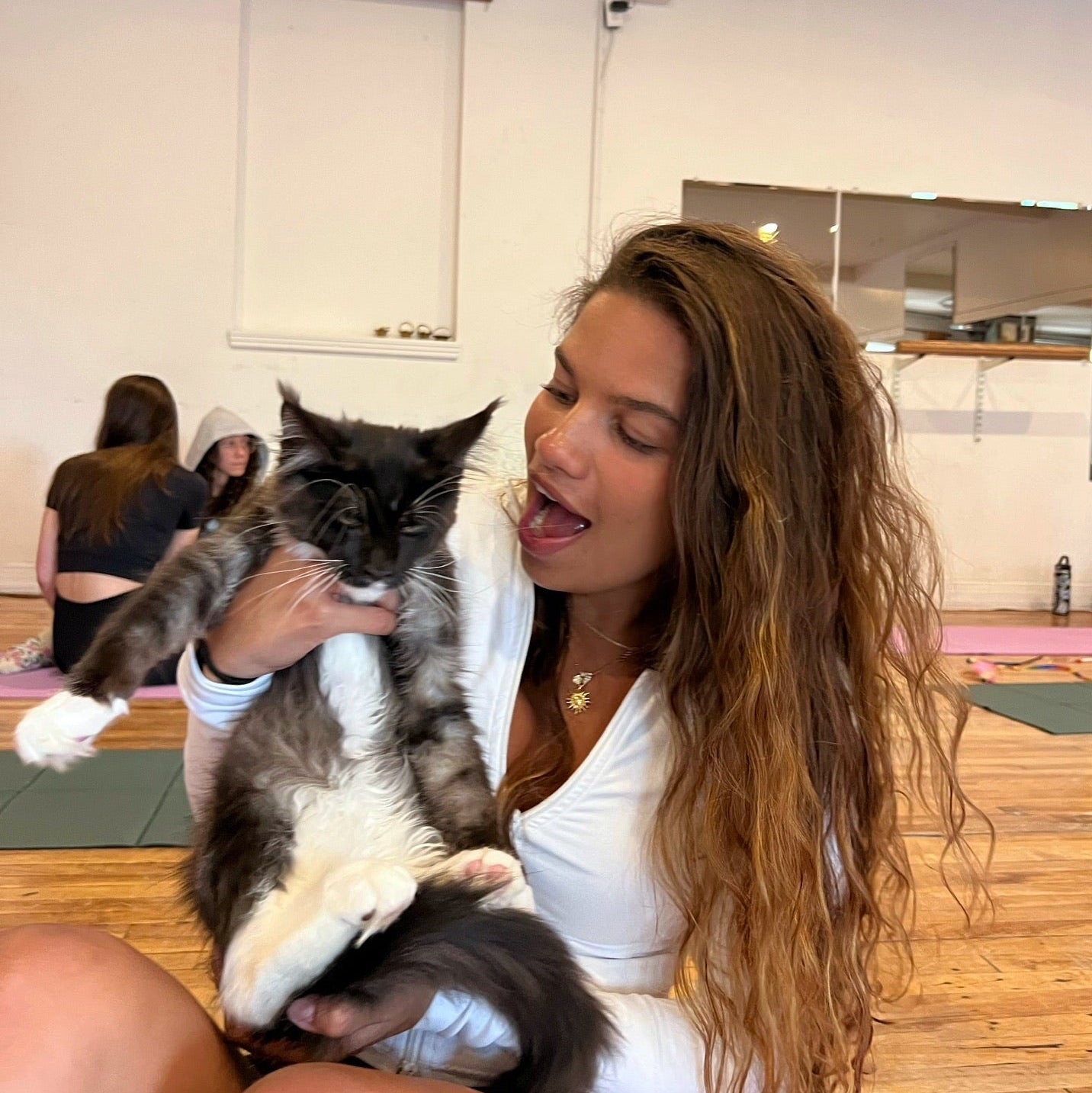 Paw Pass – Kitten Yoga Montréal