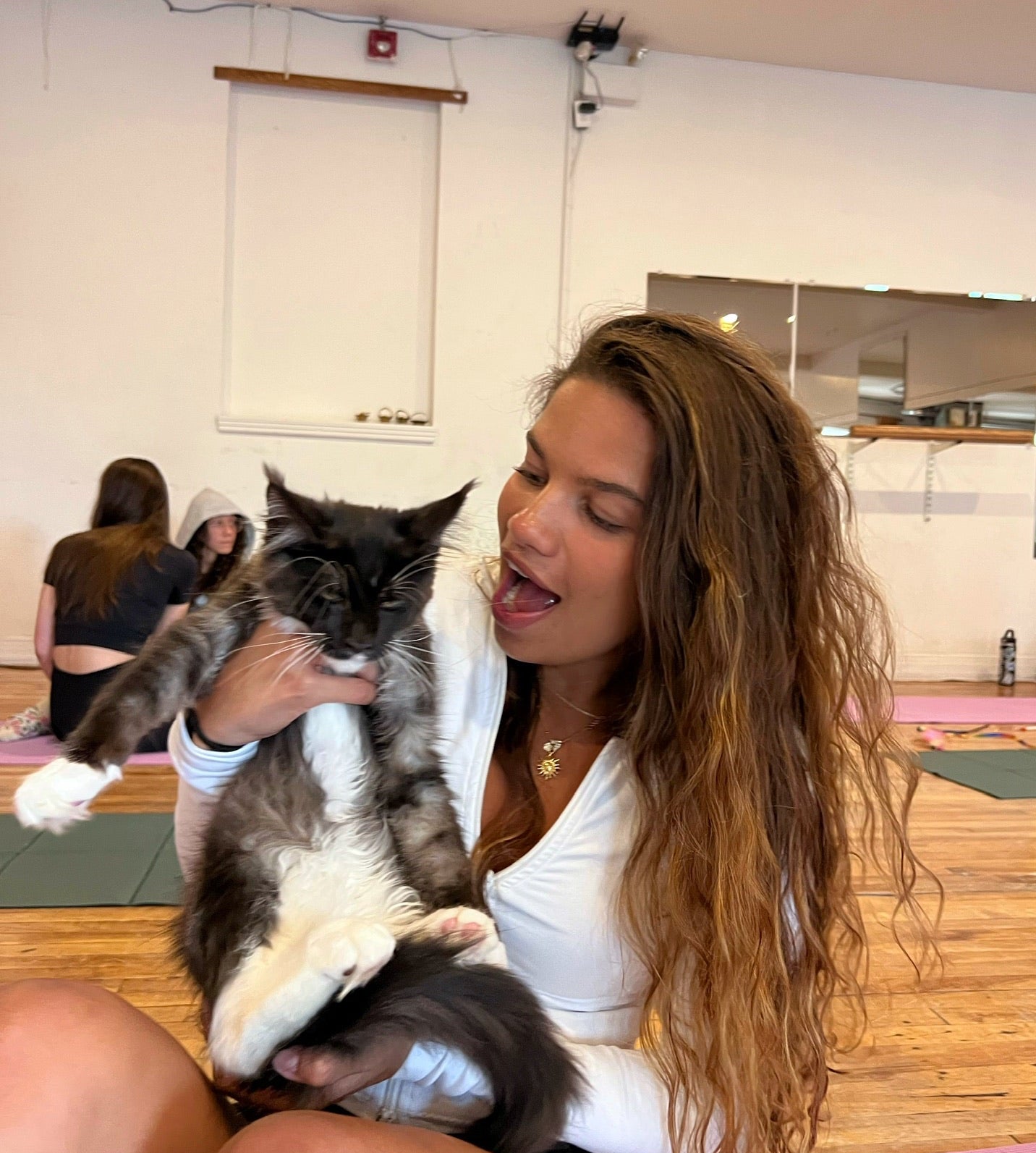 Paw Pass – Kitten Yoga Montréal