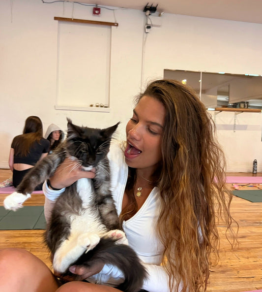 Paw Pass – Kitten Yoga Montréal
